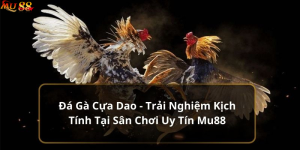 đá gà cựa dao MU88