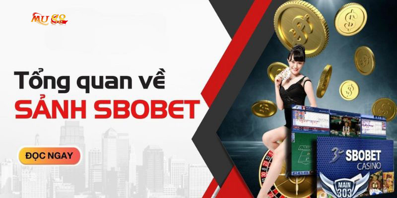 Cách tham gia cá cược tại Sbobet để luôn chiến thắng